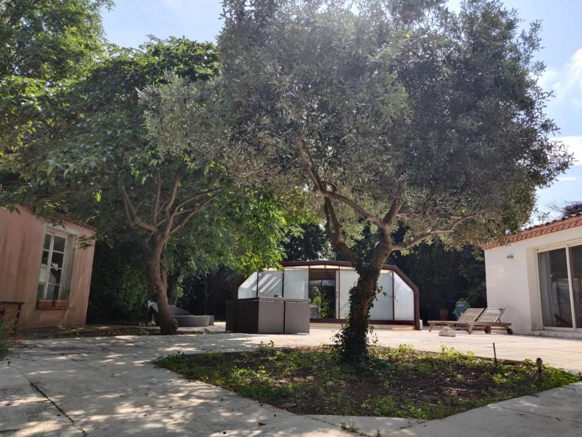 Villa Muscat, Piscine Chauffee & Spa Frontignan Kültér fotó